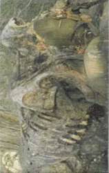 Confessions Of Obscurity : Dehumanization